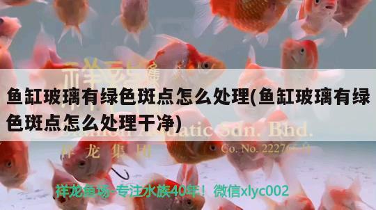 魚缸玻璃有綠色斑點(diǎn)怎么處理(魚缸玻璃有綠色斑點(diǎn)怎么處理干凈)