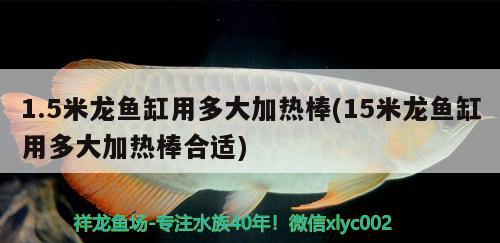 1.5米龍魚缸用多大加熱棒(15米龍魚缸用多大加熱棒合適)