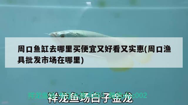 周口魚缸去哪里買便宜又好看又實惠(周口漁具批發(fā)市場在哪里) 觀賞魚批發(fā)