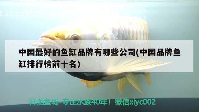 中國(guó)最好的魚缸品牌有哪些公司(中國(guó)品牌魚缸排行榜前十名)