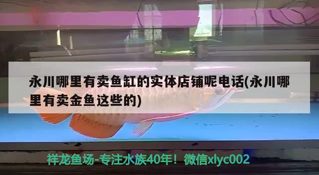 永川哪里有賣魚缸的實體店鋪呢電話(永川哪里有賣金魚這些的)