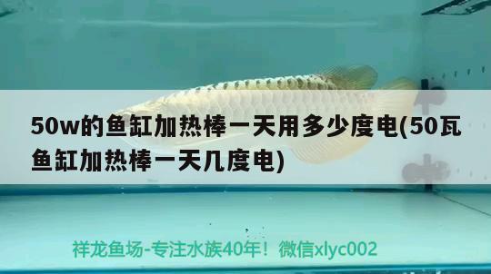 50w的魚(yú)缸加熱棒一天用多少度電(50瓦魚(yú)缸加熱棒一天幾度電)