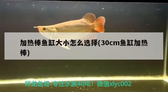 加熱棒魚(yú)缸大小怎么選擇(30cm魚(yú)缸加熱棒)