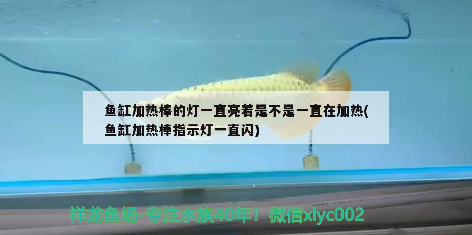 魚缸加熱棒的燈一直亮著是不是一直在加熱(魚缸加熱棒指示燈一直閃) 圣菲埃及魚 第2張