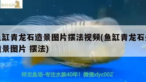 魚(yú)缸青龍石造景圖片擺法視頻(魚(yú)缸青龍石頭造景圖片擺法) 南美異形觀賞魚(yú)