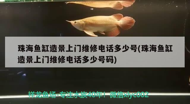 珠海魚缸造景上門維修電話多少號(珠海魚缸造景上門維修電話多少號碼)