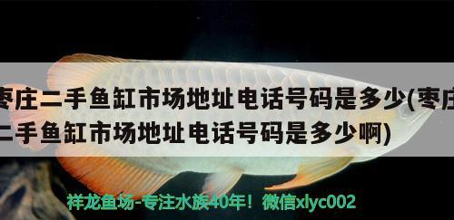 棗莊二手魚缸市場地址電話號碼是多少(棗莊二手魚缸市場地址電話號碼是多少啊)