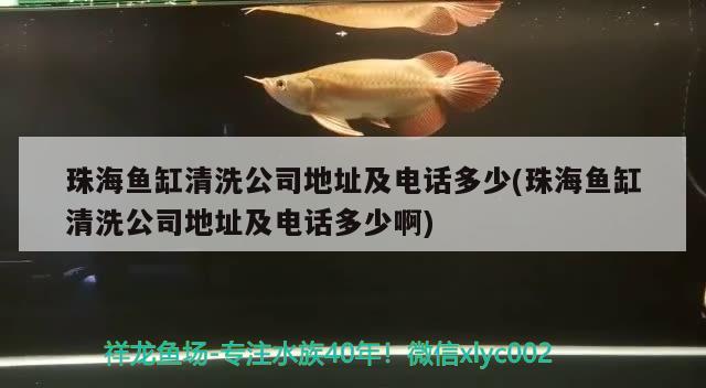 珠海魚缸清洗公司地址及電話多少(珠海魚缸清洗公司地址及電話多少啊)