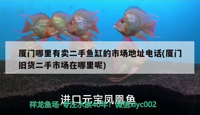 廈門哪里有賣二手魚缸的市場地址電話(廈門舊貨二手市場在哪里呢) 充氧泵