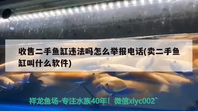 收售二手魚缸違法嗎怎么舉報電話(賣二手魚缸叫什么軟件)