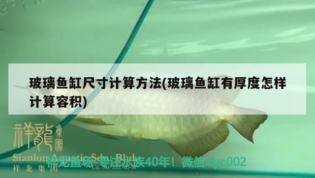 玻璃魚(yú)缸尺寸計(jì)算方法(玻璃魚(yú)缸有厚度怎樣計(jì)算容積) 黑云魚(yú)