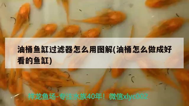 油桶魚缸過濾器怎么用圖解(油桶怎么做成好看的魚缸)