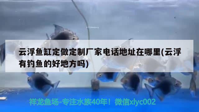 云浮魚缸定做定制廠家電話地址在哪里(云浮有釣魚的好地方嗎) 垂釣樂園