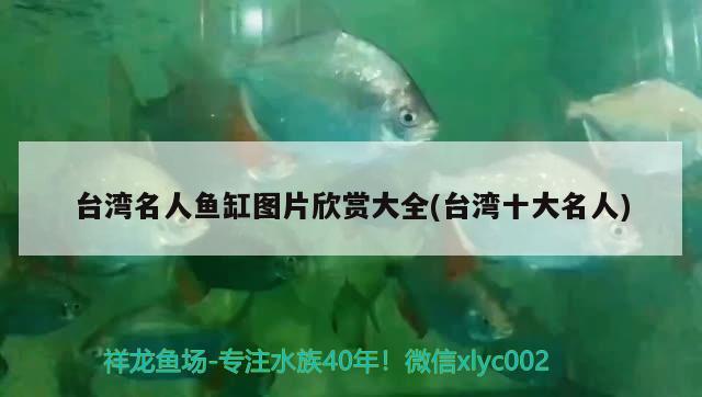 臺灣名人魚缸圖片欣賞大全(臺灣十大名人)