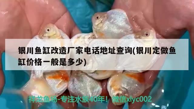 銀川魚缸改造廠家電話地址查詢(銀川定做魚缸價(jià)格一般是多少) 紅眼黃化幽靈火箭魚|皇家火箭魚