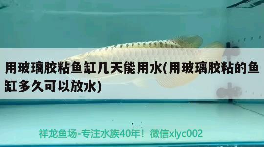 用玻璃膠粘魚(yú)缸幾天能用水(用玻璃膠粘的魚(yú)缸多久可以放水) 鐵甲武士