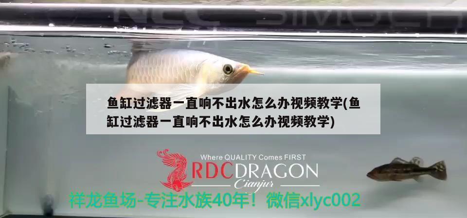 魚缸過濾器一直響不出水怎么辦視頻教學(魚缸過濾器一直響不出水怎么辦視頻教學)