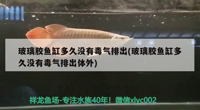 玻璃膠魚缸多久沒有毒氣排出(玻璃膠魚缸多久沒有毒氣排出體外) 祥龍水族護理水