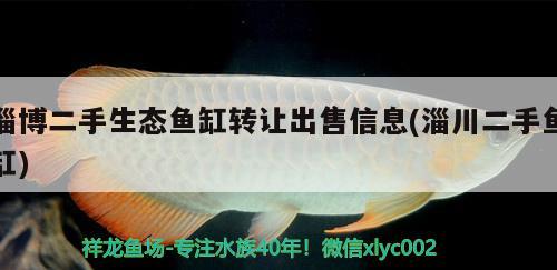 淄博二手生態(tài)魚缸轉(zhuǎn)讓出售信息(淄川二手魚缸) 泰國(guó)虎魚