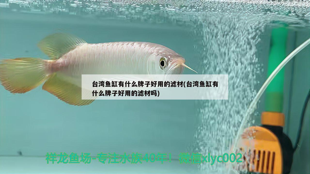 臺(tái)灣魚(yú)缸有什么牌子好用的濾材(臺(tái)灣魚(yú)缸有什么牌子好用的濾材嗎)