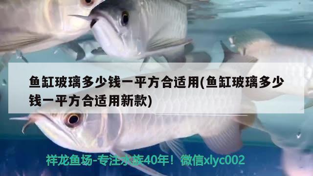 魚缸玻璃多少錢一平方合適用(魚缸玻璃多少錢一平方合適用新款)