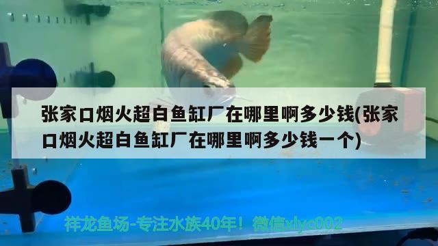 張家口煙火超白魚缸廠在哪里啊多少錢(張家口煙火超白魚缸廠在哪里啊多少錢一個(gè))