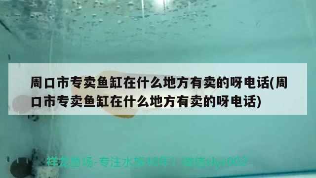 周口市專賣魚缸在什么地方有賣的呀電話(周口市專賣魚缸在什么地方有賣的呀電話)