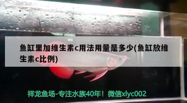 魚缸里加維生素c用法用量是多少(魚缸放維生素c比例) 豹紋夫魚苗