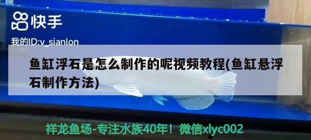 魚缸浮石是怎么制作的呢視頻教程(魚缸懸浮石制作方法) 福虎/異型虎魚/純色虎魚