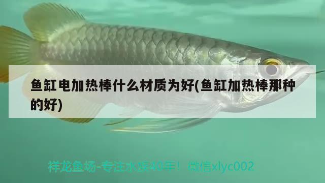 魚缸電加熱棒什么材質(zhì)為好(魚缸加熱棒那種的好)