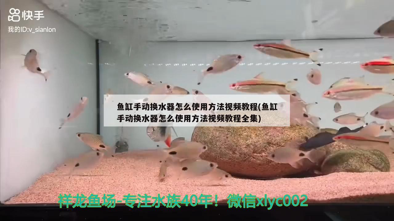 魚缸手動(dòng)換水器怎么使用方法視頻教程(魚缸手動(dòng)換水器怎么使用方法視頻教程全集)