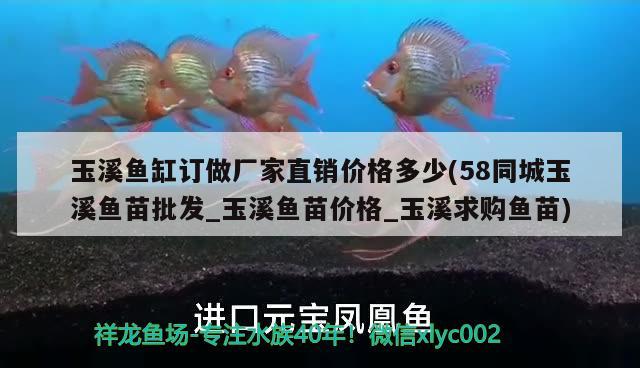 玉溪魚缸訂做廠家直銷價(jià)格多少(58同城玉溪魚苗批發(fā)_玉溪魚苗價(jià)格_玉溪求購魚苗)