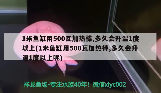 1米魚缸用500瓦加熱棒,多久會升溫1度以上(1米魚缸用500瓦加熱棒,多久會升溫1度以上呢) 祥龍赫舞紅龍魚