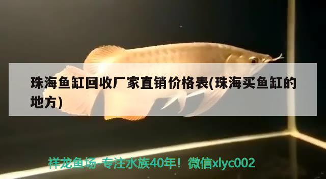 珠海魚缸回收廠家直銷價格表(珠海買魚缸的地方) 白子黃化銀龍魚