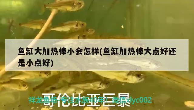 魚缸大加熱棒小會怎樣(魚缸加熱棒大點好還是小點好)