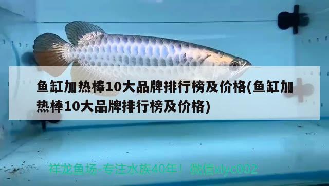 魚缸加熱棒10大品牌排行榜及價格(魚缸加熱棒10大品牌排行榜及價格)