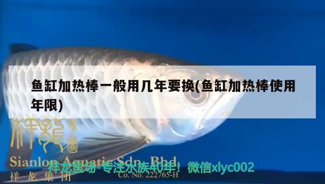 魚(yú)缸加熱棒一般用幾年要換(魚(yú)缸加熱棒使用年限)