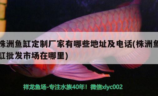 株洲魚缸定制廠家有哪些地址及電話(株洲魚缸批發(fā)市場(chǎng)在哪里)