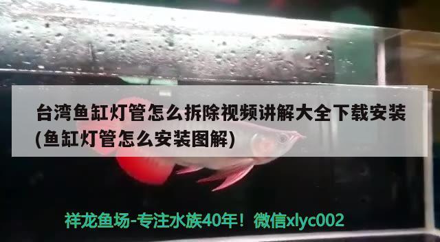 臺灣魚缸燈管怎么拆除視頻講解大全下載安裝(魚缸燈管怎么安裝圖解) 銀古魚苗