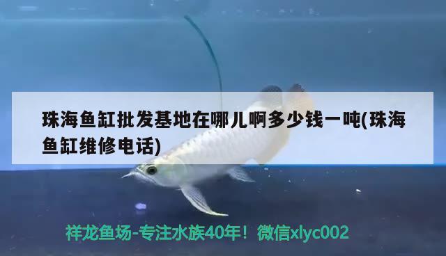 珠海魚缸批發(fā)基地在哪兒啊多少錢一噸(珠海魚缸維修電話) 養(yǎng)魚的好處