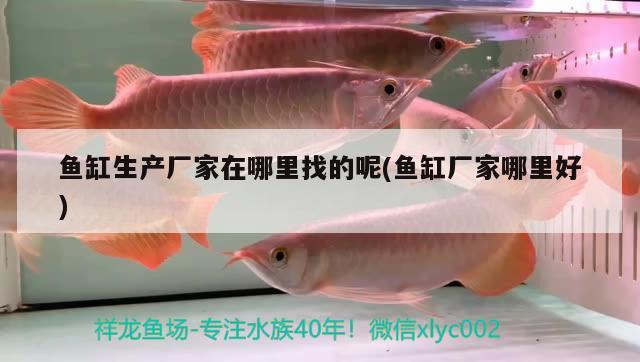 魚缸生產廠家在哪里找的呢(魚缸廠家哪里好)