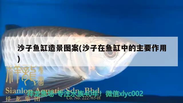 沙子魚(yú)缸造景圖案(沙子在魚(yú)缸中的主要作用) 女王大帆魚(yú)苗 第2張