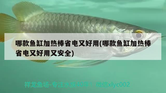 哪款魚缸加熱棒省電又好用(哪款魚缸加熱棒省電又好用又安全)