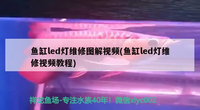 魚缸led燈維修圖解視頻(魚缸led燈維修視頻教程) 水族用品