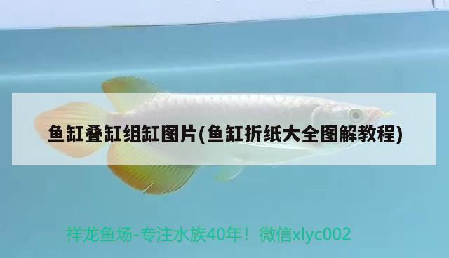 魚(yú)缸疊缸組缸圖片(魚(yú)缸折紙大全圖解教程)