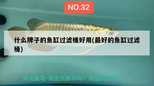 什么牌子的魚缸過(guò)濾桶好用(最好的魚缸過(guò)濾桶) 超血紅龍魚