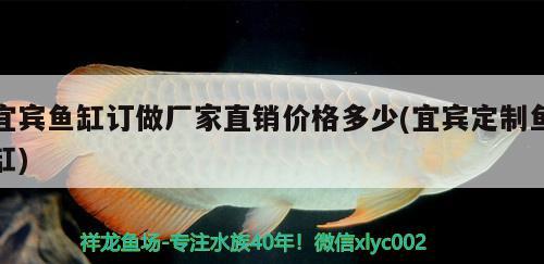 宜賓魚缸訂做廠家直銷價(jià)格多少(宜賓定制魚缸) 龍魚百科