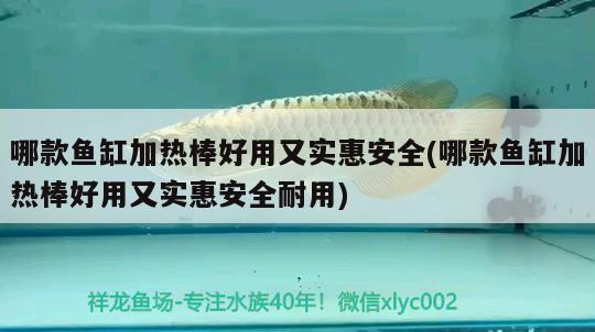 哪款魚缸加熱棒好用又實(shí)惠安全(哪款魚缸加熱棒好用又實(shí)惠安全耐用)