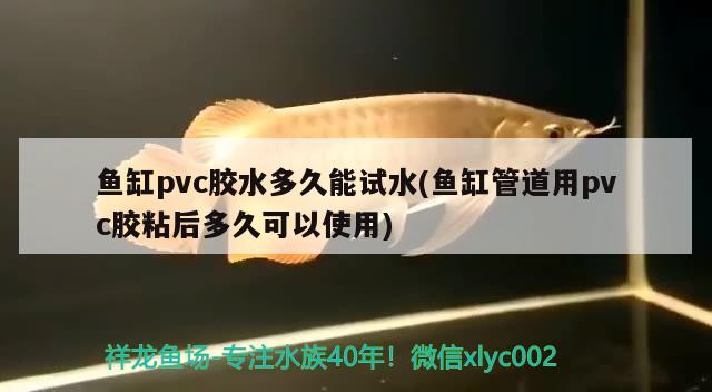 魚缸pvc膠水多久能試水(魚缸管道用pvc膠粘后多久可以使用)