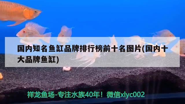 國內(nèi)知名魚缸品牌排行榜前十名圖片(國內(nèi)十大品牌魚缸)